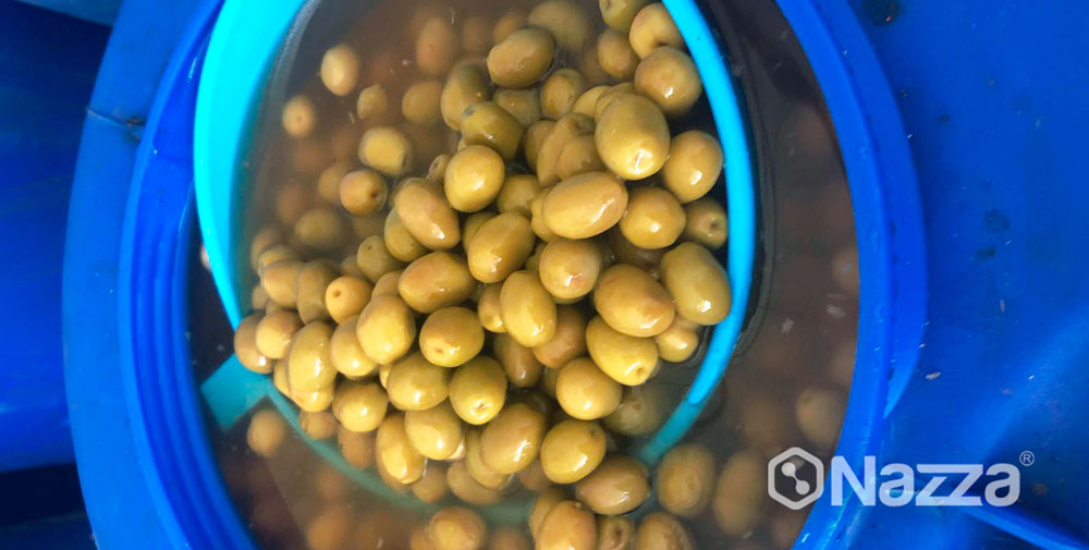 SOSA CÁUSTICA ACEITUNAS