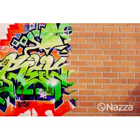 Barniz Antigraffiti Brillante la Disolvente 2