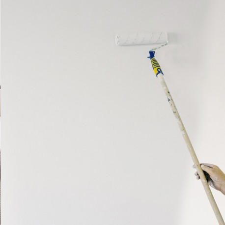 Pintura para paredes y techos DEMMAN (de 4 a 15 L)