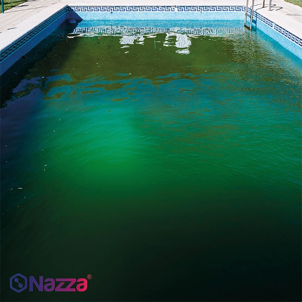 limpiar agua verde piscina